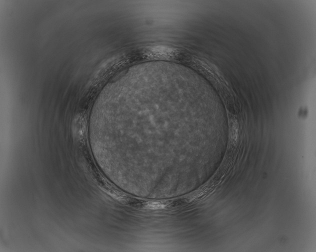 X0000088890701200707061432