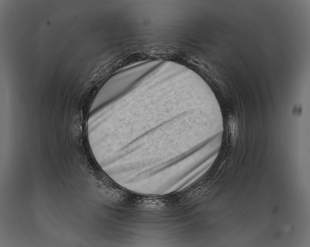X0000088890702200707061432