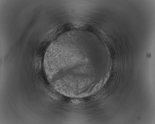 X0000088890703200707061432