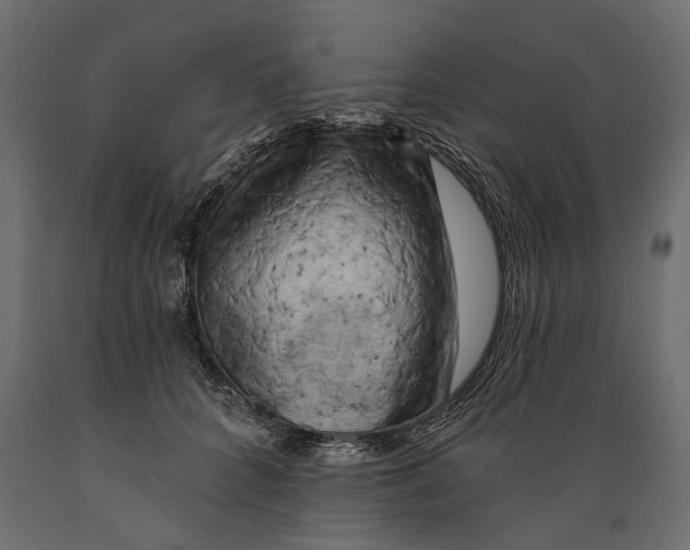 X0000088890704200707061432