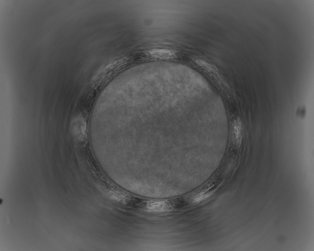 X0000088890705200707061432