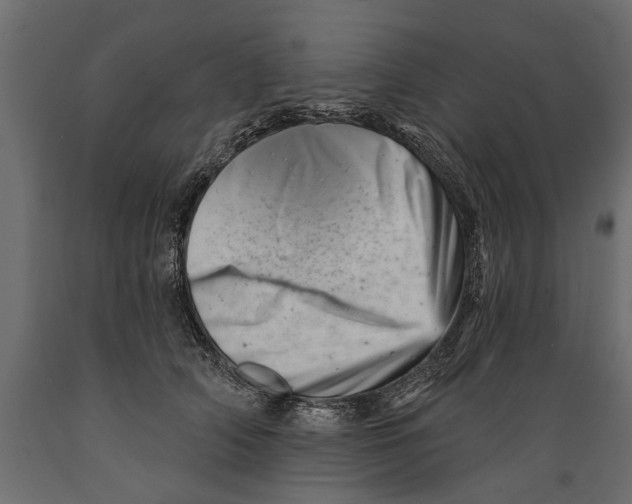 X0000088890706200707061432