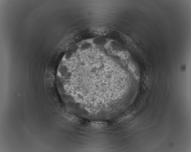 X0000088890707200707061432