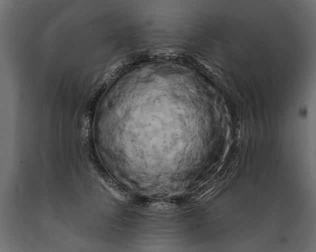 X0000088890708200707061432