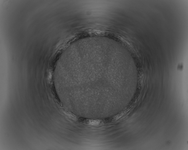 X0000088890709200707061432