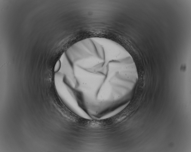 X0000088890710200707061432