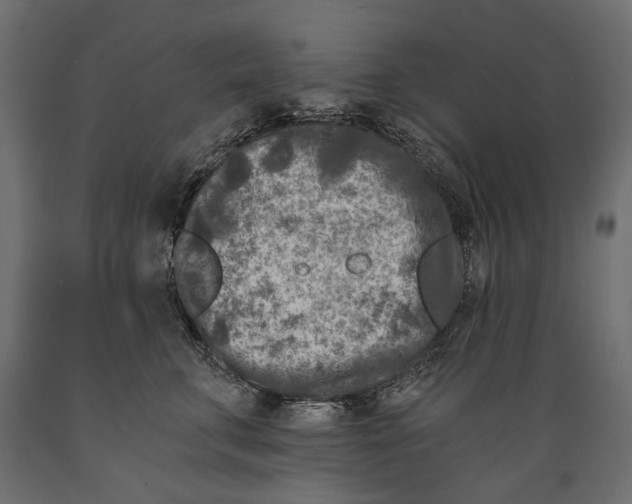 X0000088890711200707061432