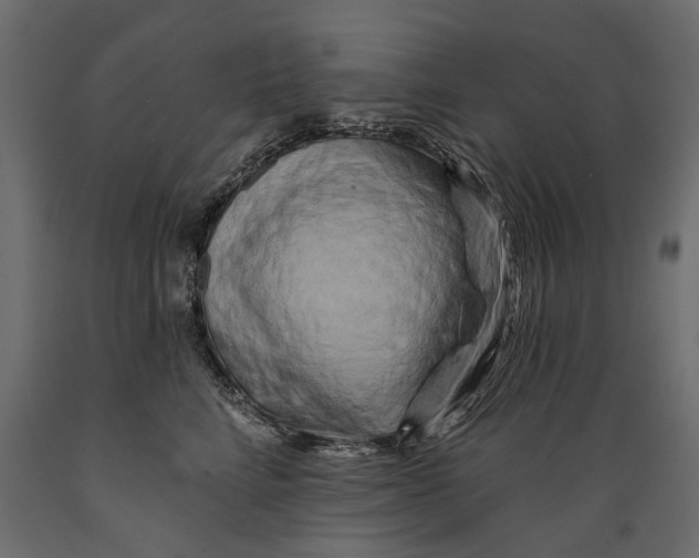 X0000088890712200707061432