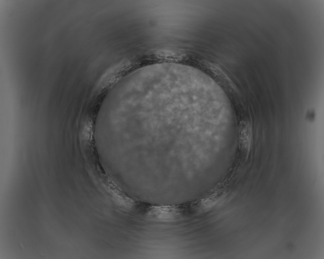 X0000088890713200707061432