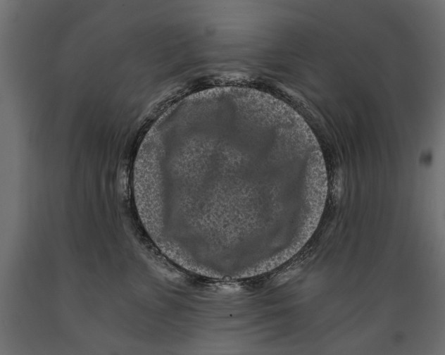 X0000088890715200707061432