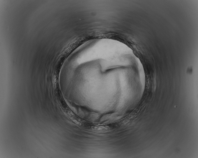 X0000088890716200707061432