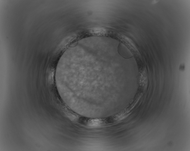 X0000088890717200707061432