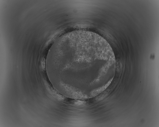 X0000088890718200707061432