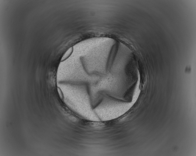 X0000088890719200707061432