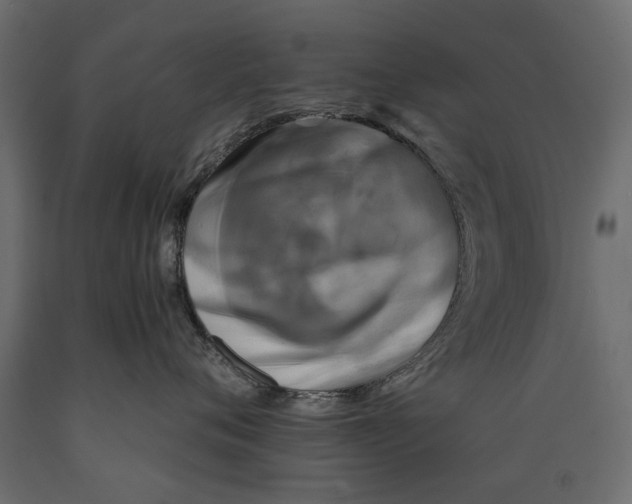 X0000088890720200707061432