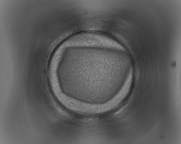 X0000088890721200707061431