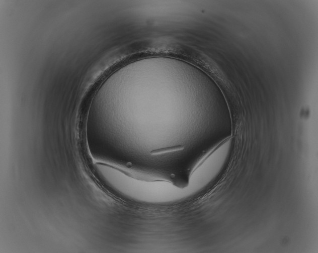 X0000088890722200707061431