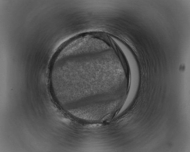 X0000088890724200707061431