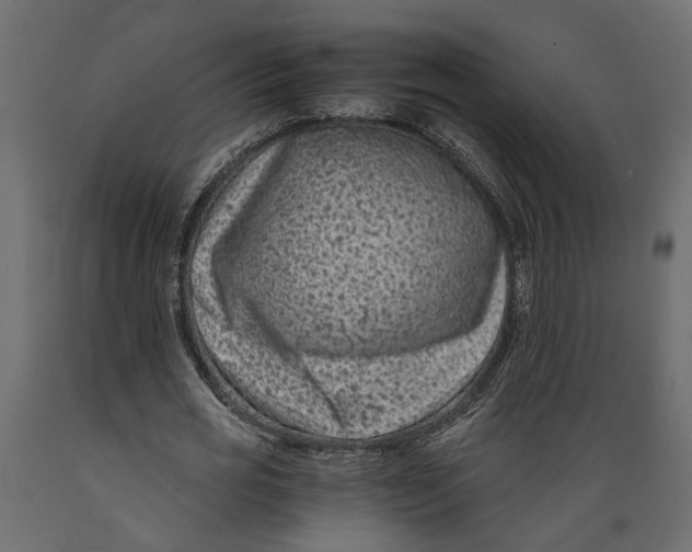 X0000088890725200707061431