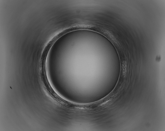 X0000088890726200707061431
