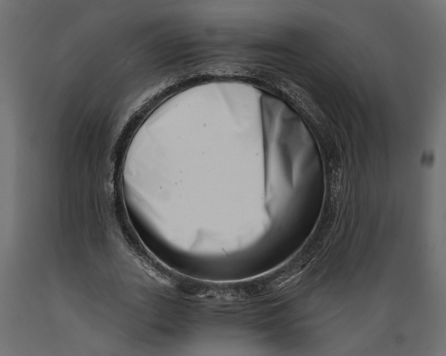 X0000088890727200707061431