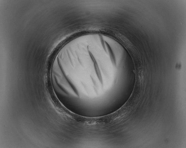 X0000088890728200707061431