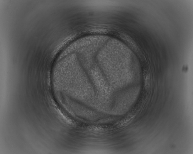 X0000088890729200707061431