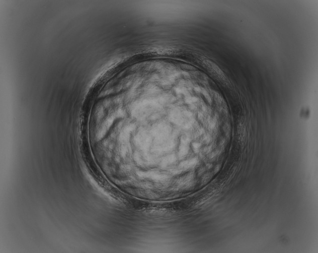 X0000088890730200707061431