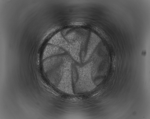 X0000088890731200707061431