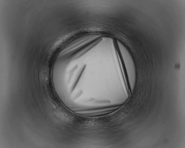 X0000088890732200707061431