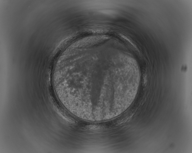 X0000088890733200707061431