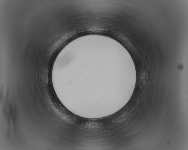 X0000088890734200707061431