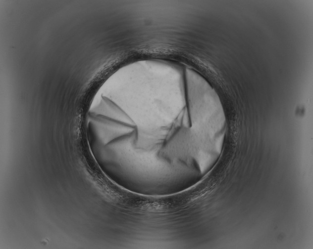 X0000088890735200707061431