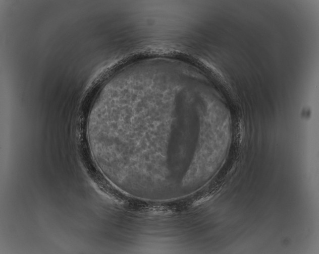 X0000088890736200707061431
