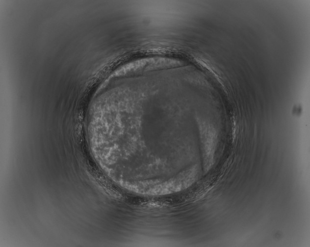 X0000088890737200707061431