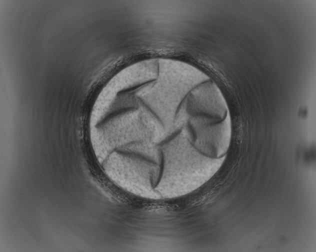 X0000088890738200707061431