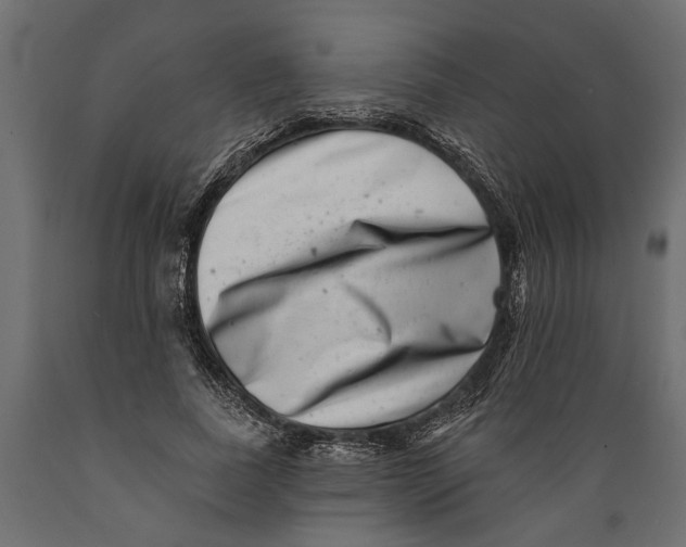 X0000088890739200707061431