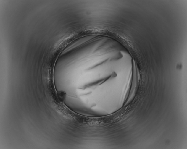 X0000088890740200707061431