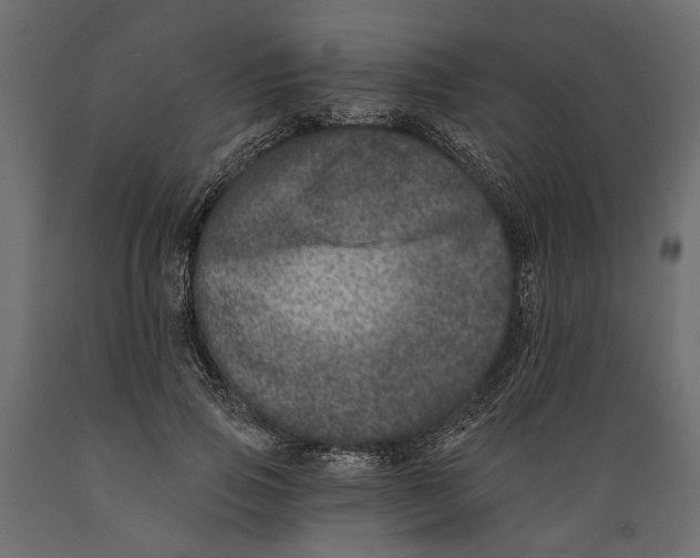 X0000088890741200707061431
