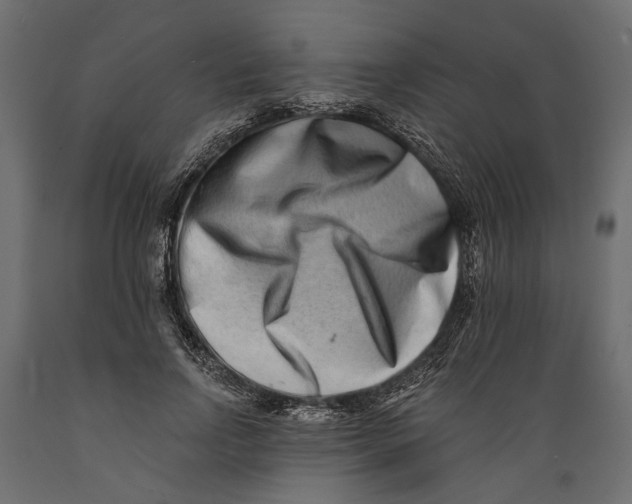 X0000088890742200707061431