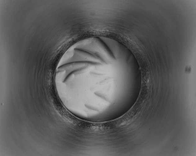 X0000088890744200707061431