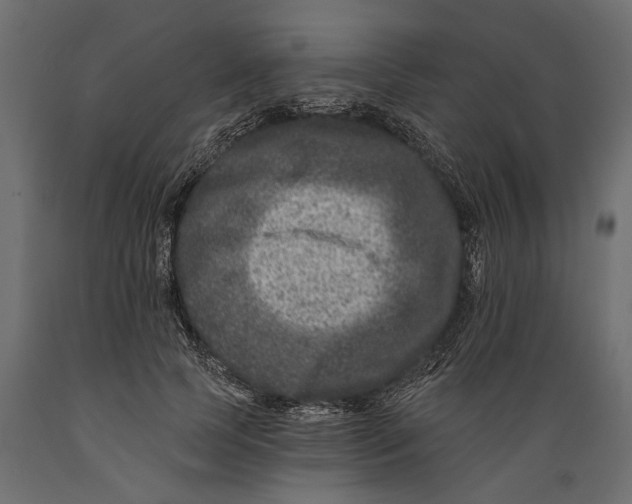 X0000088890745200707061431