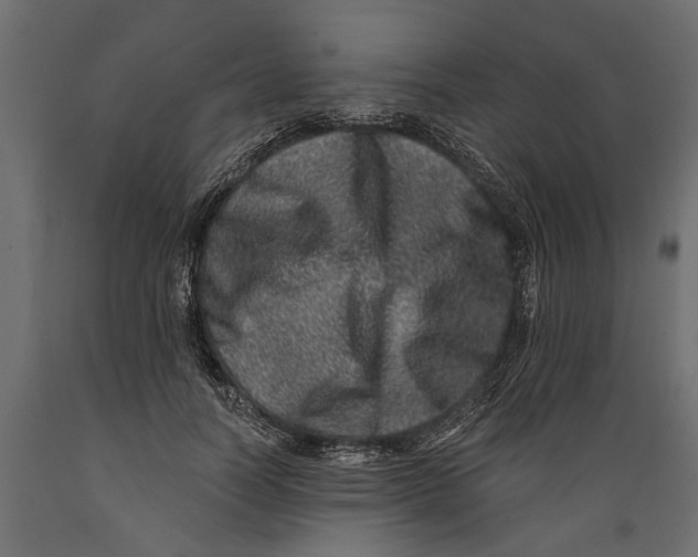 X0000088890746200707061432