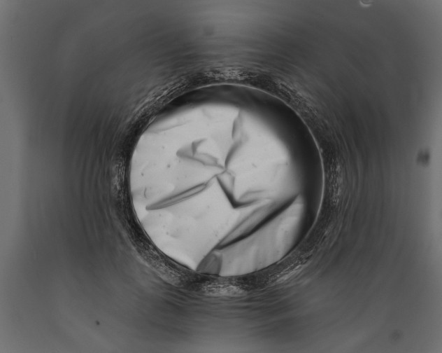 X0000088890747200707061432