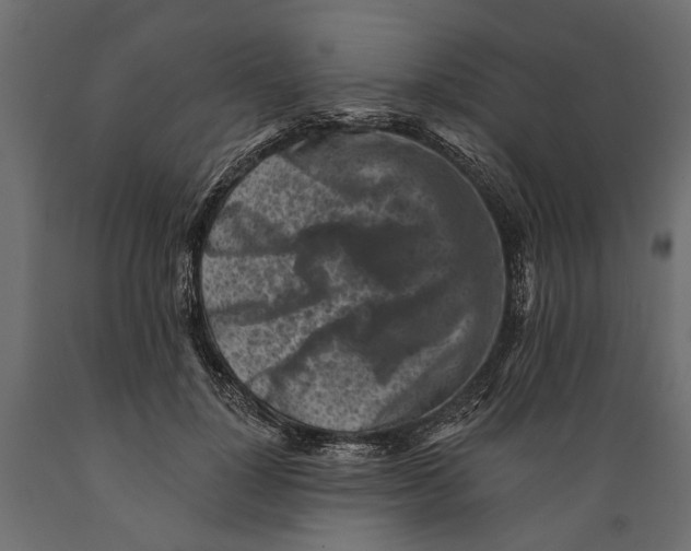 X0000088890748200707061432