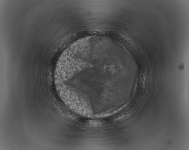 X0000088890749200707061432