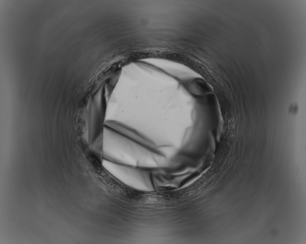 X0000088890750200707061432