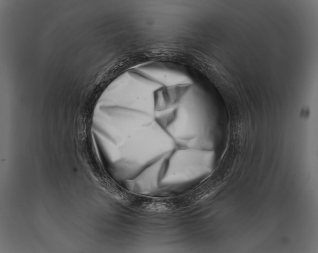 X0000088890751200707061432