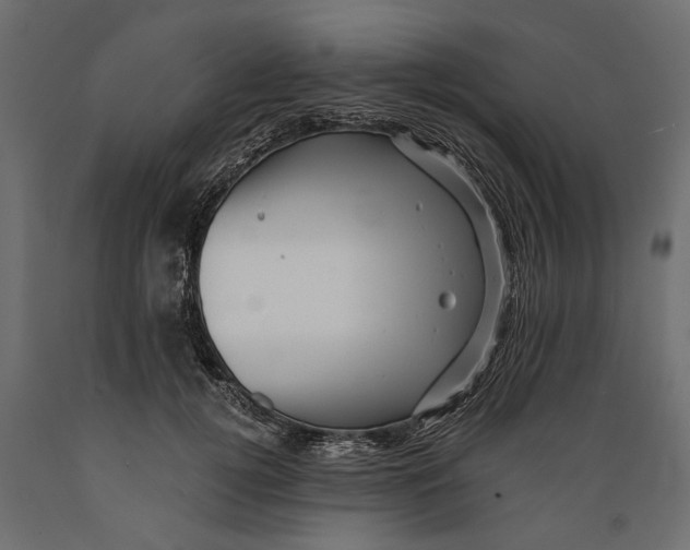 X0000088890752200707061432