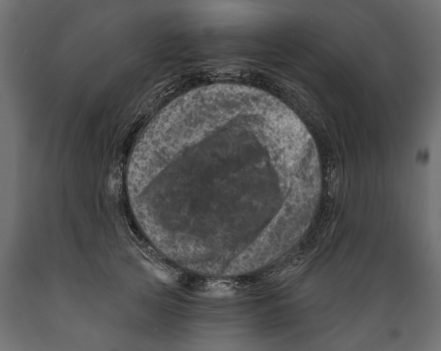 X0000088890753200707061432